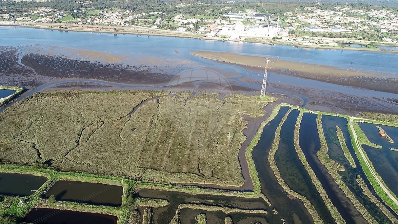Terreno para Venda em Lavos Foto 4
