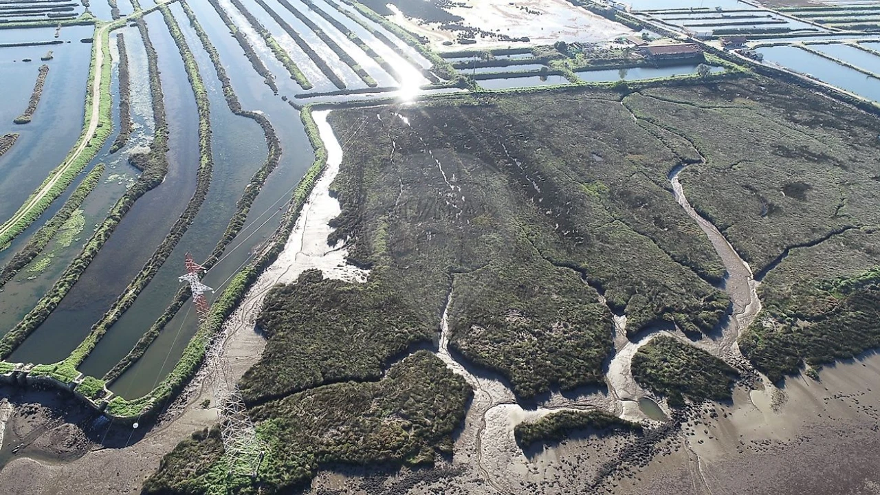 Terreno para Venda em Lavos Foto 2