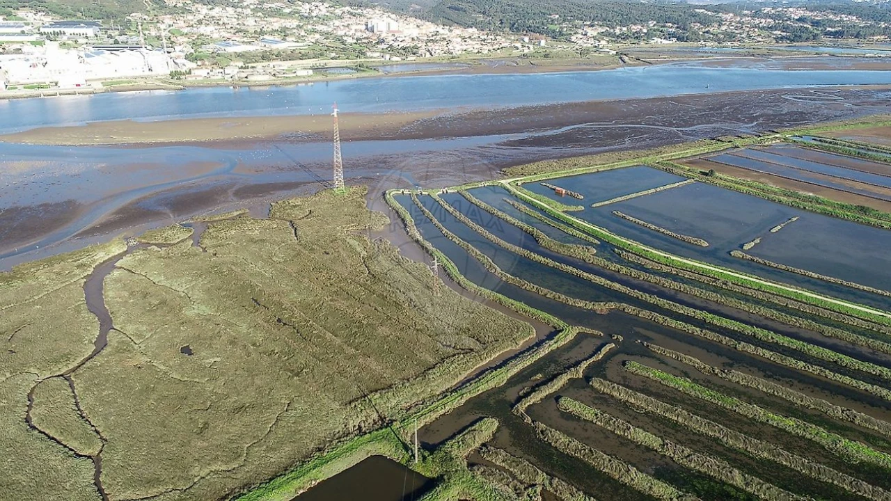 Terreno para Venda em Lavos Foto 5