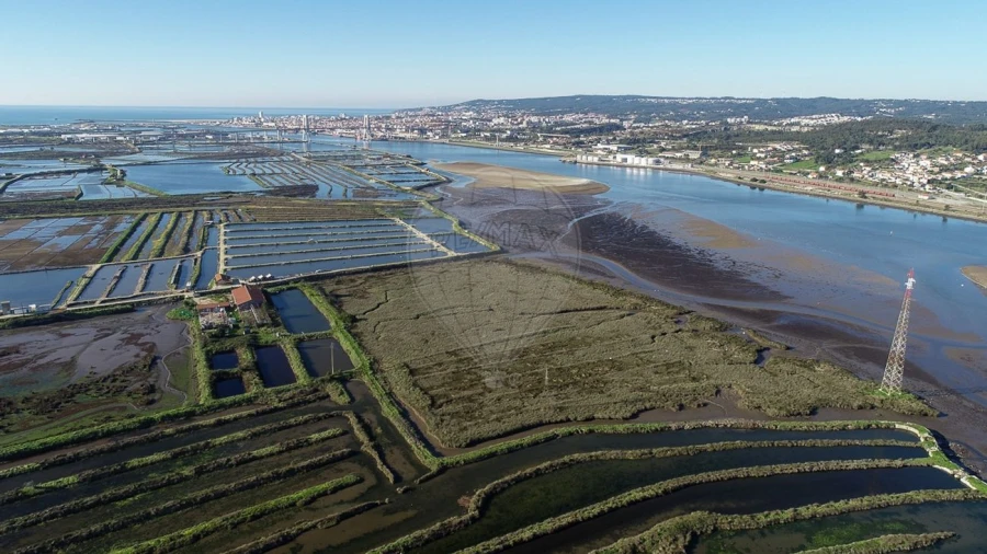 Terreno para Venda em Lavos Foto 10