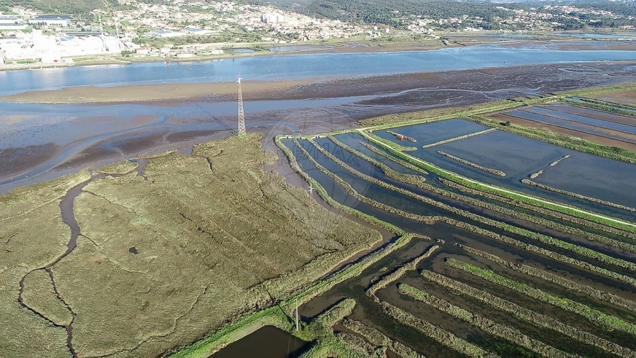 Terreno para Venda em Lavos Foto 5