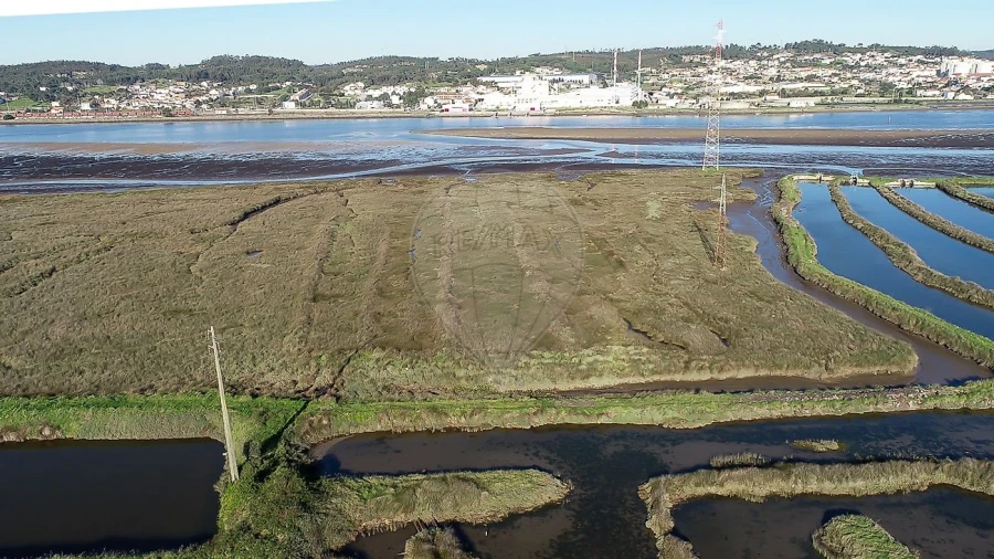 Terreno para Venda em Lavos Foto 8