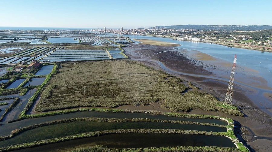 Terreno para Venda em Lavos