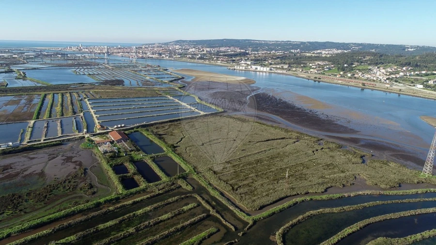 Terreno para Venda em Lavos Foto 9