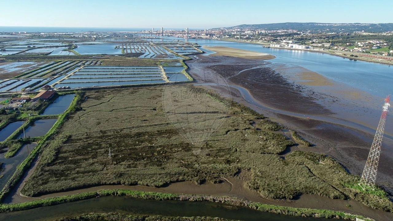 Terreno para Venda em Lavos Foto 12