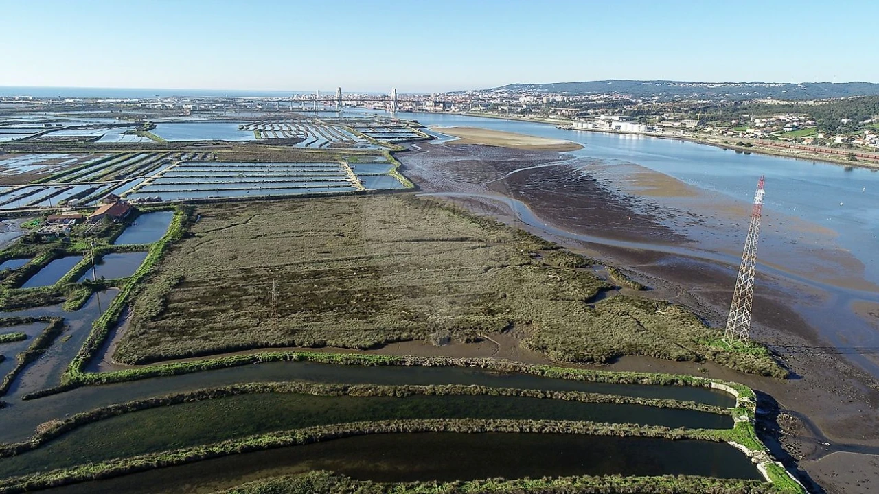 Terreno para Venda em Lavos Foto 1