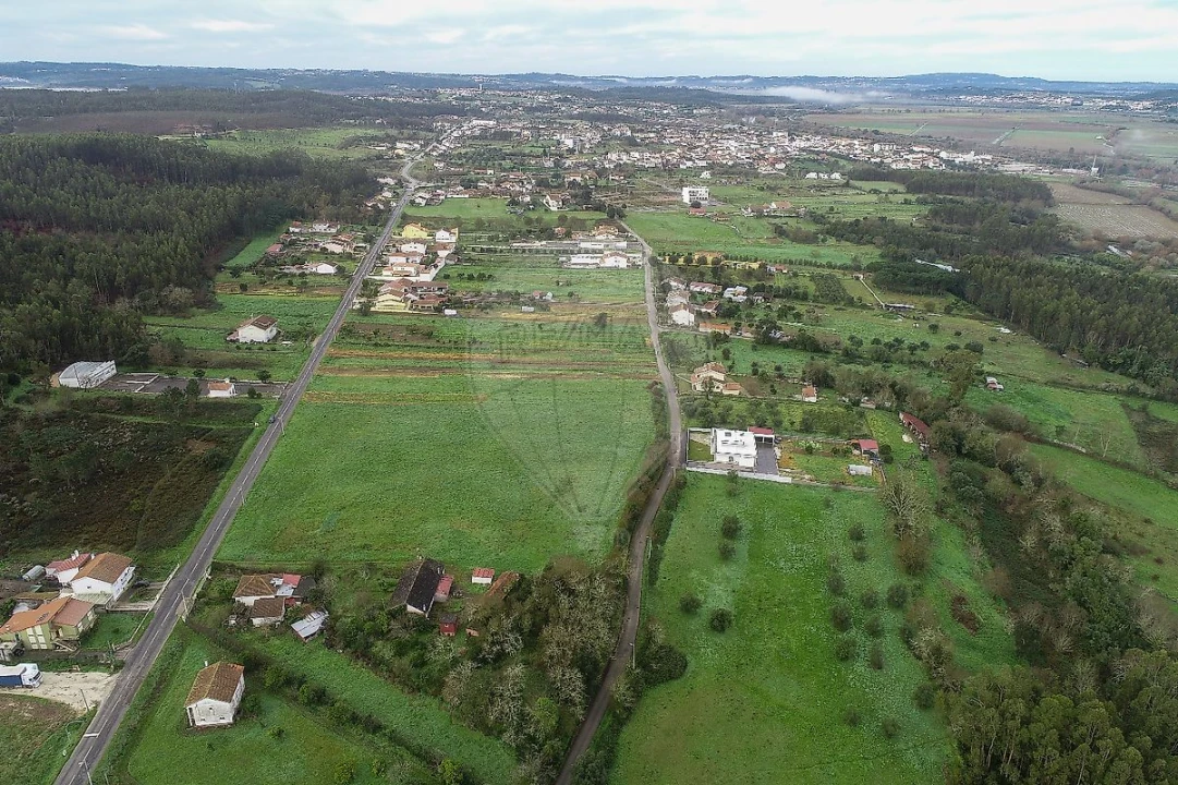 Terreno para Venda em Granja do Ulmeiro Foto 4