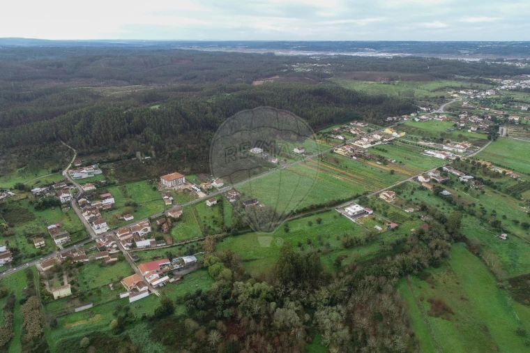 Terreno para Venda em Granja do Ulmeiro Foto 6