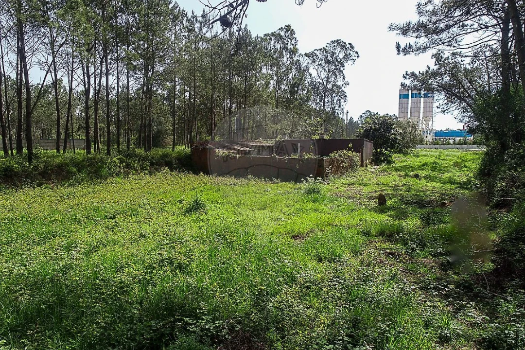 Terreno para Venda em Lavos Foto 4