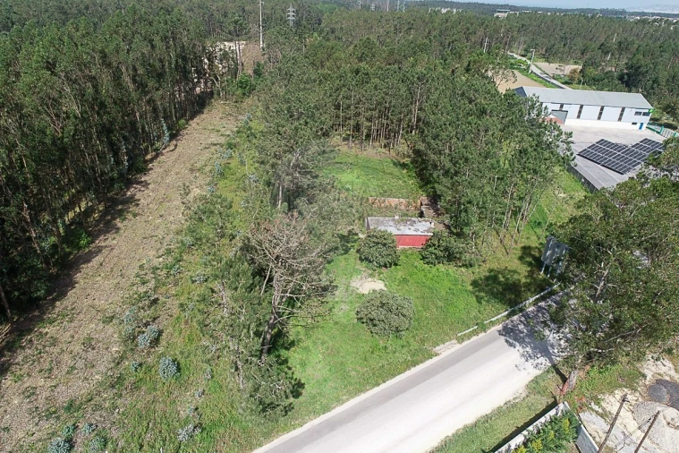 Terreno para Venda em Lavos Foto 10