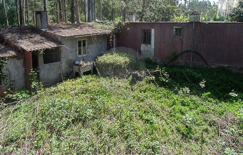 Terreno para Venda em Lavos Foto 5
