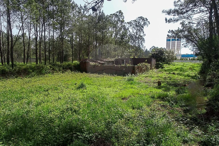 Terreno para Venda em Lavos Foto 4