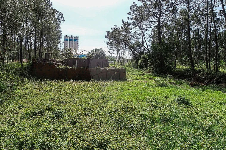 Terreno para Venda em Lavos Foto 6