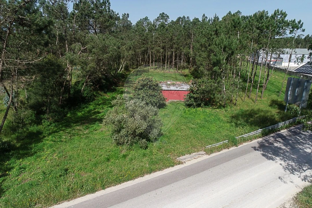 Terreno para Venda em Lavos Foto 7