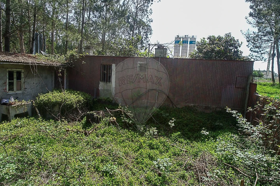 Terreno para Venda em Lavos Foto 3