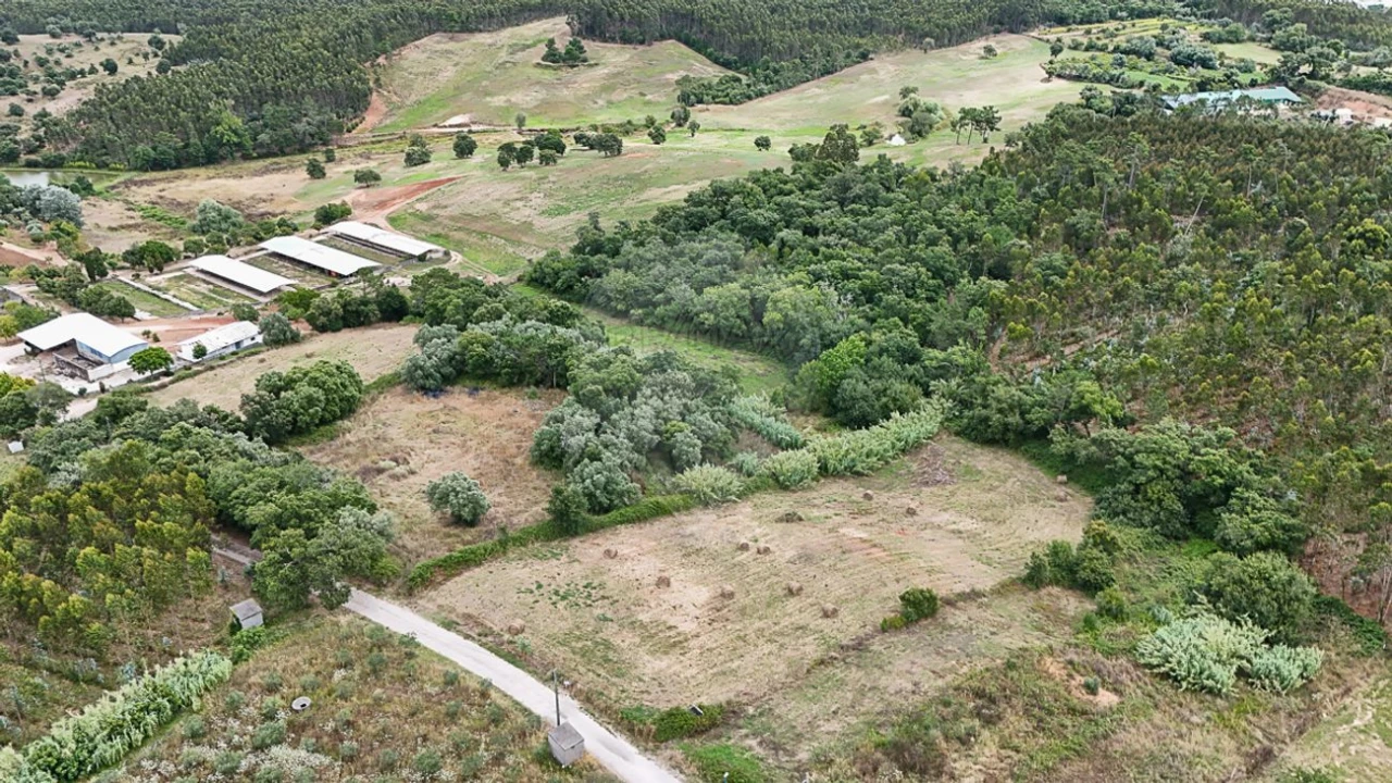Terreno para Venda em Abrunheira, Verride e Vila Nova da Barca Foto 8