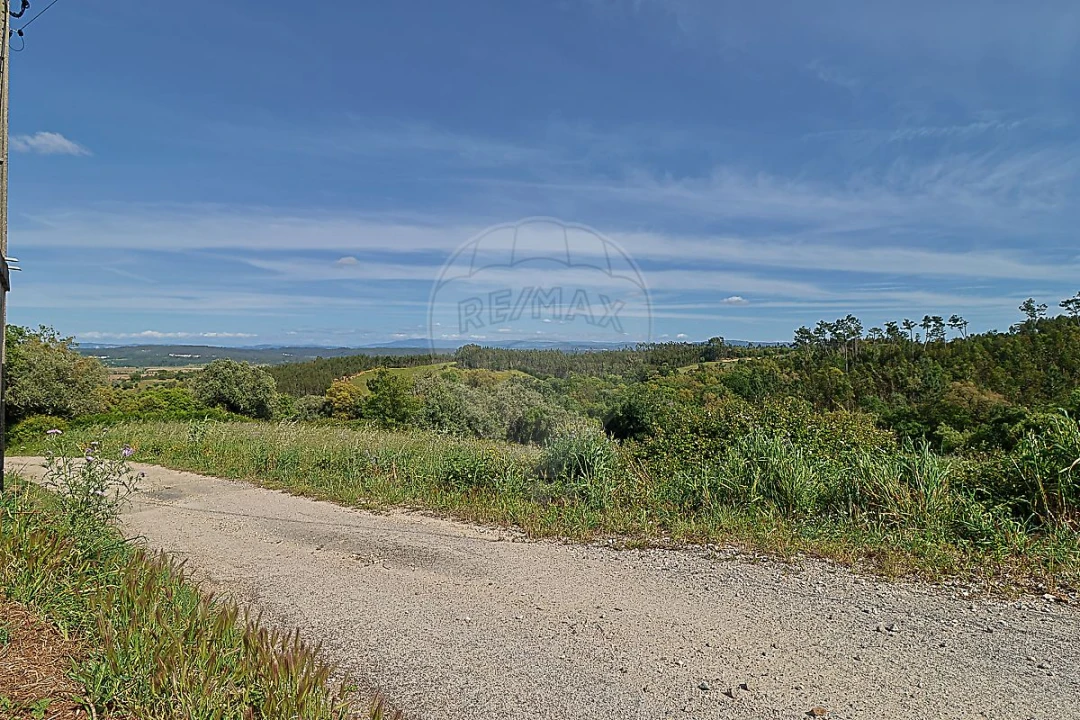 Terreno para Venda em Abrunheira, Verride e Vila Nova da Barca Foto 6