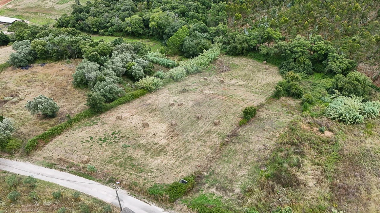Terreno para Venda em Abrunheira, Verride e Vila Nova da Barca Foto 11