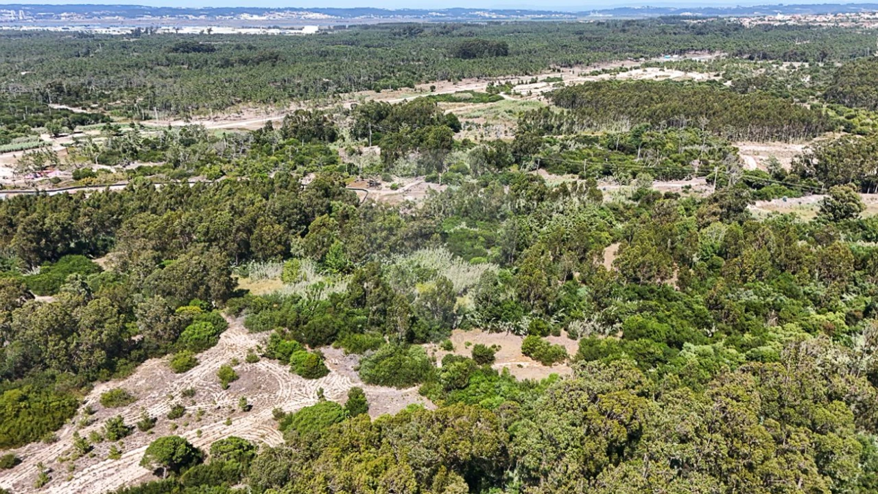 Terreno para Venda em Lavos Foto 8