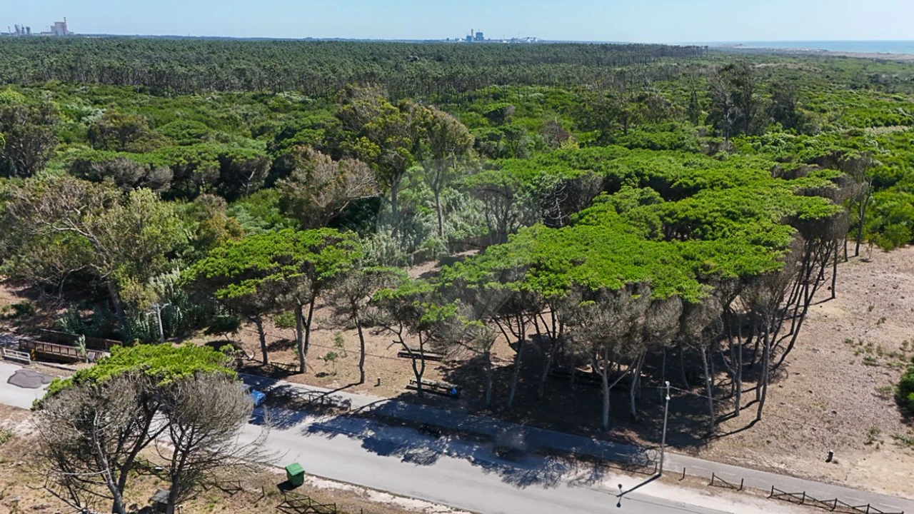 Terreno para Venda em Lavos Foto 4