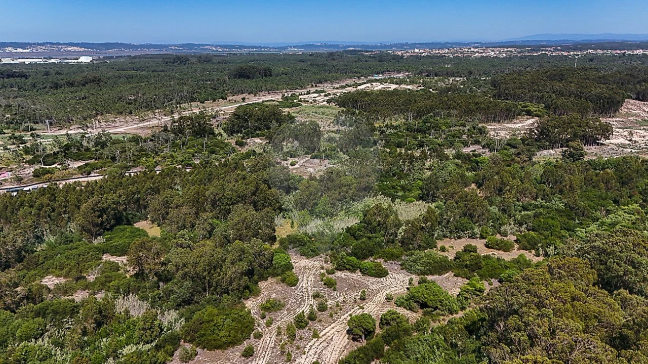 Terreno para Venda em Lavos Foto 10