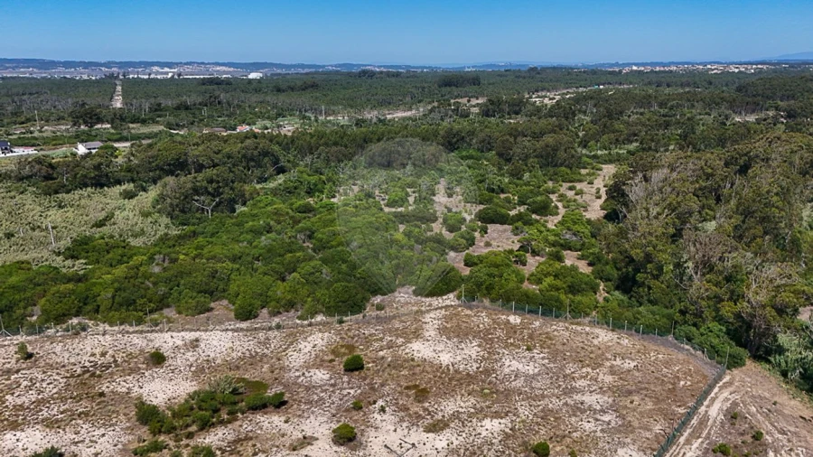 Terreno para Venda em Lavos Foto 9