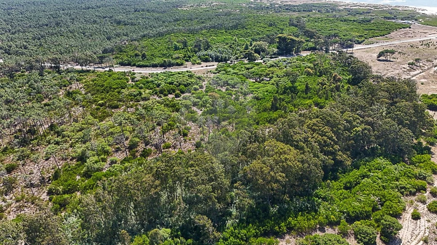 Terreno para Venda em Lavos Foto 11