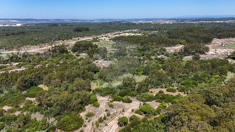 Terreno para Venda em Lavos Foto 6