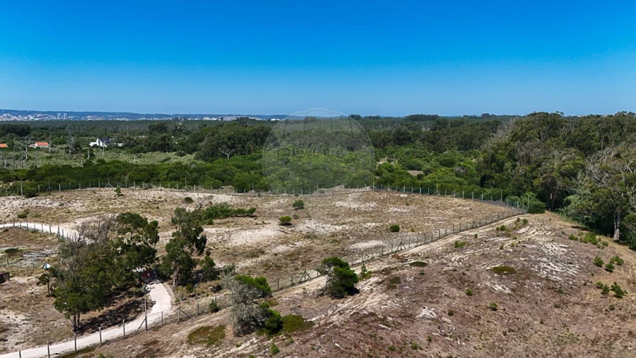 Terreno para Venda em Lavos Foto 5