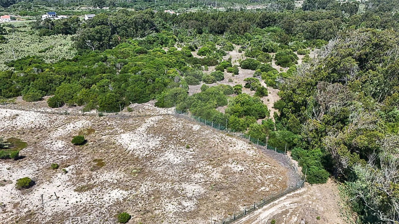 Terreno para Venda em Lavos Foto 4