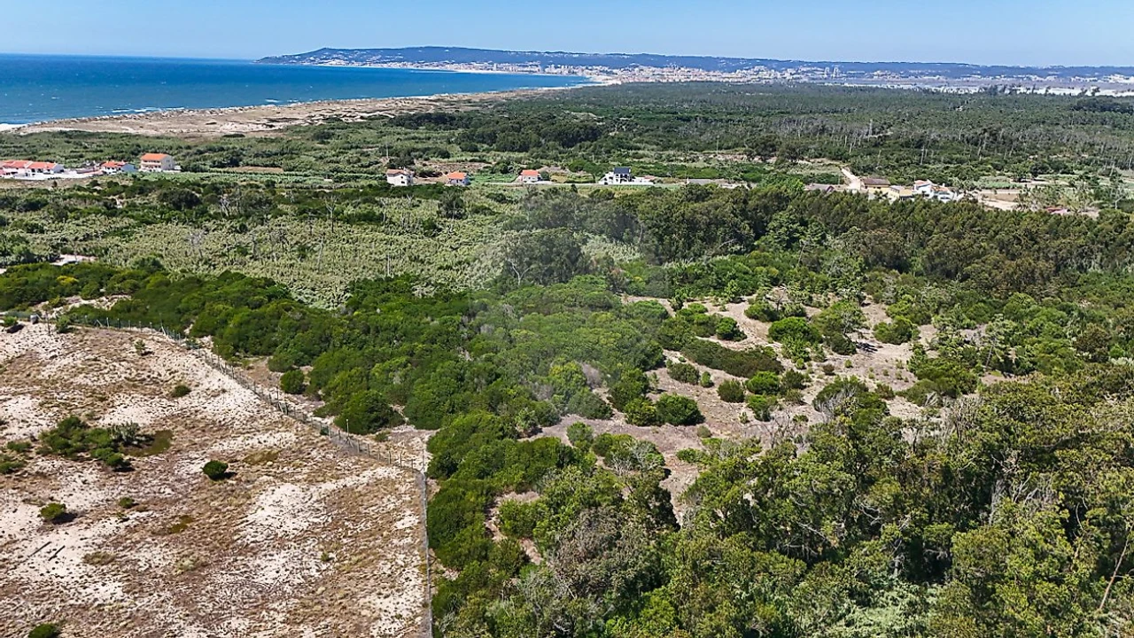 Terreno para Venda em Lavos Foto 3
