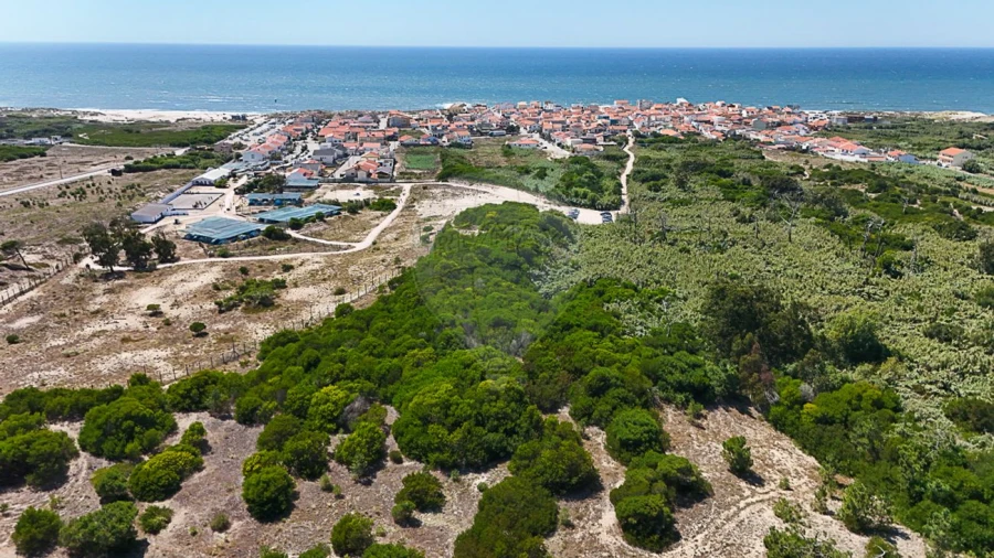 Terreno para Venda em Lavos Foto 7
