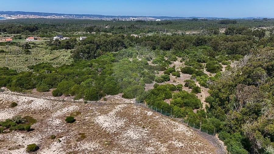 Terreno para Venda em Lavos Foto 5
