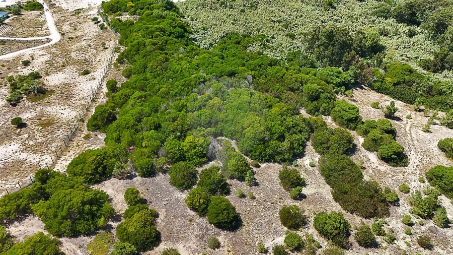 Terreno para Venda em Lavos Foto 6