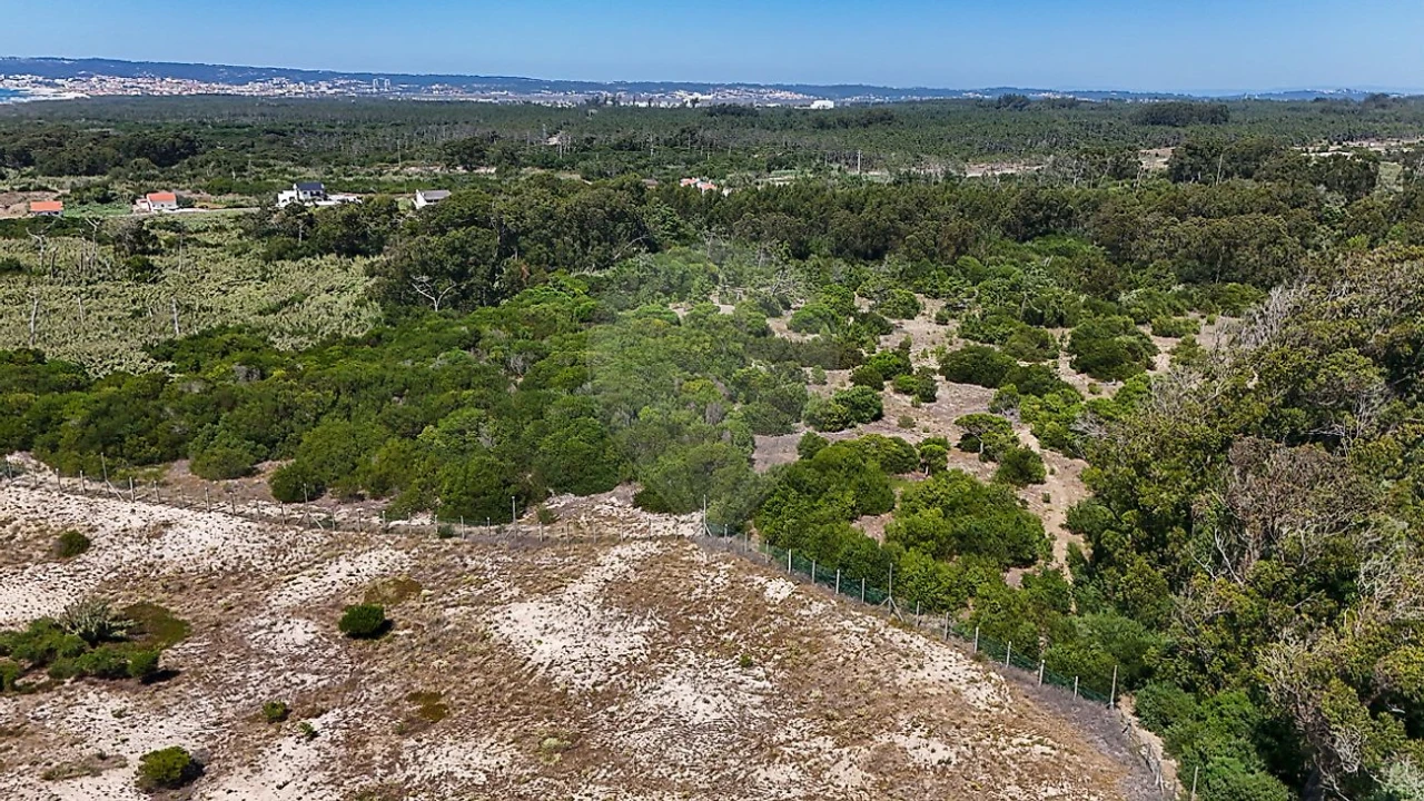 Terreno para Venda em Lavos Foto 5