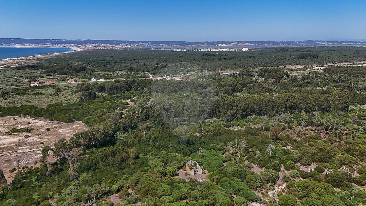 Terreno para Venda em Lavos Foto 2