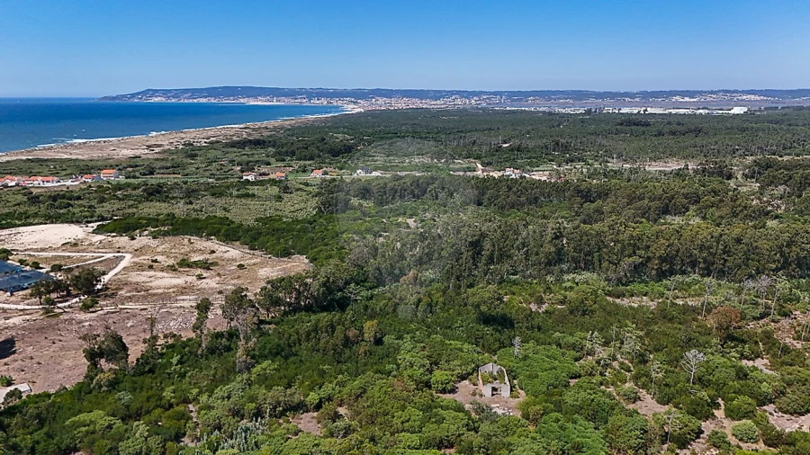 Terreno para Venda em Lavos Foto 3
