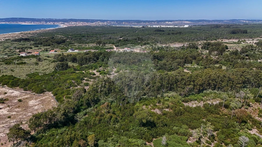 Terreno para Venda em Lavos