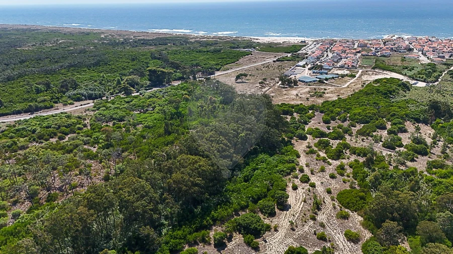 Terreno para Venda em Lavos Foto 4