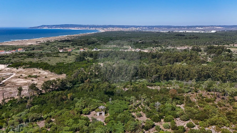 Terreno para Venda em Lavos Foto 5