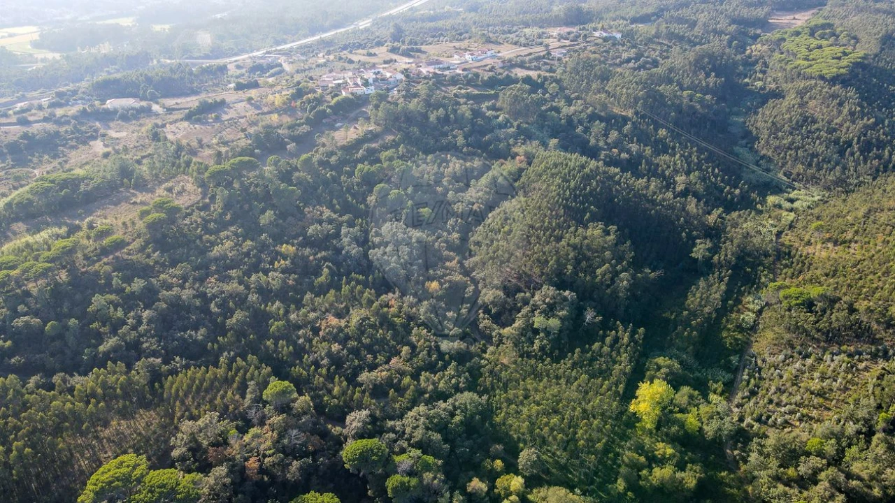 Terreno para Venda em Maiorca Foto 19