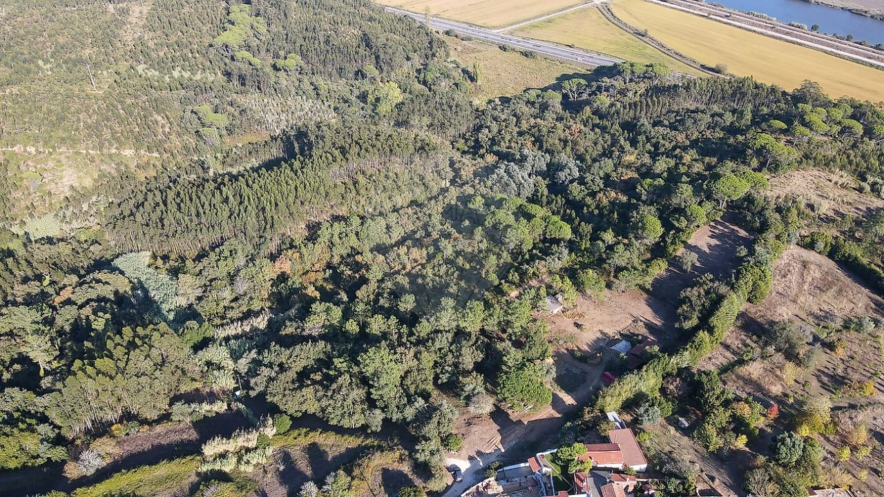 Terreno para Venda em Maiorca Foto 3
