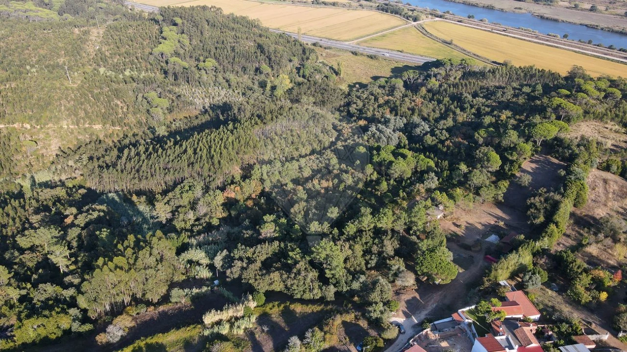 Terreno para Venda em Maiorca Foto 24