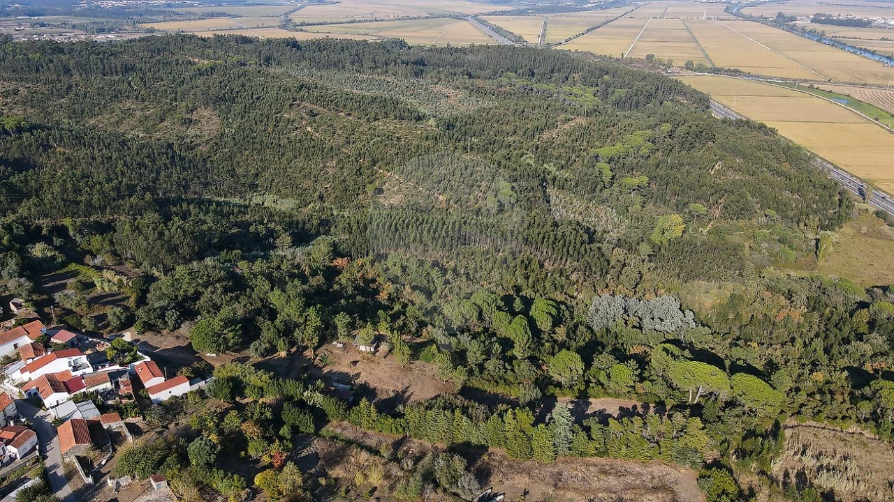 Terreno para Venda em Maiorca Foto 17