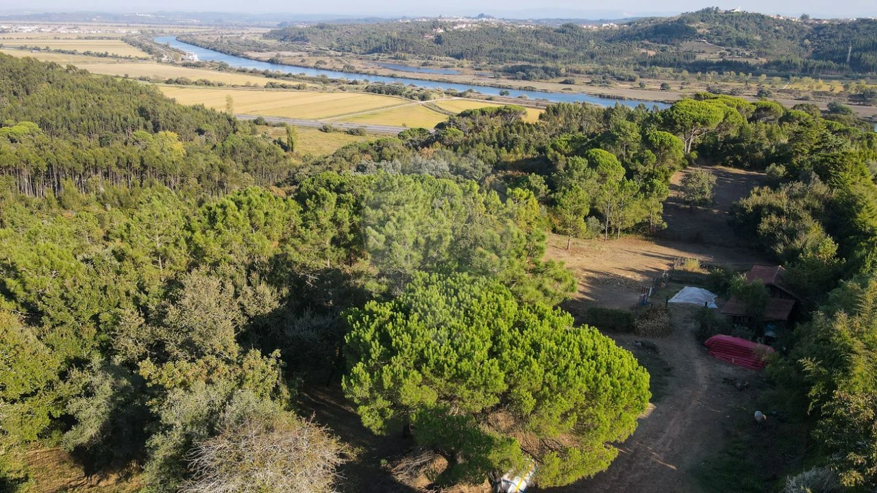 Terreno para Venda em Maiorca Foto 11