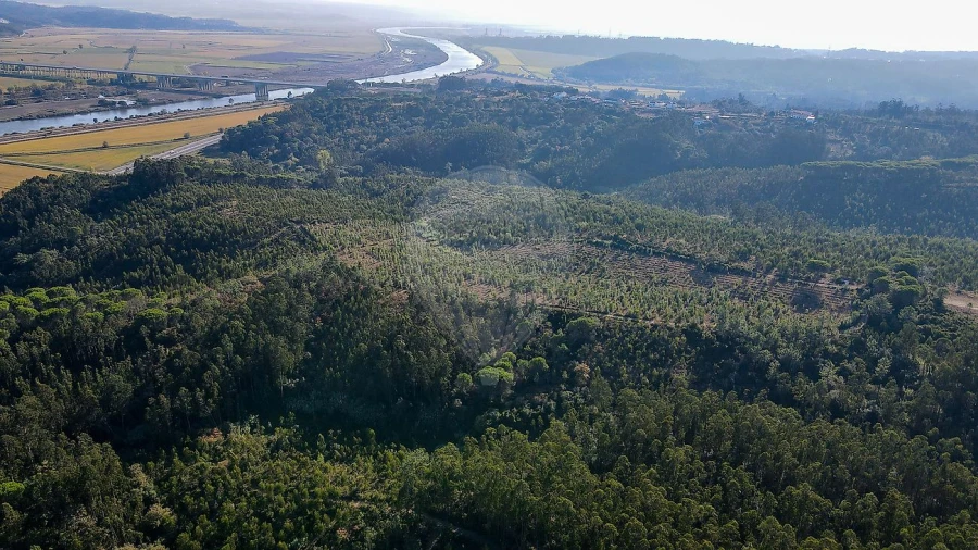Terreno para Venda em Maiorca Foto 8