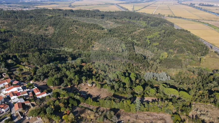 Terreno para Venda em Maiorca Foto 7