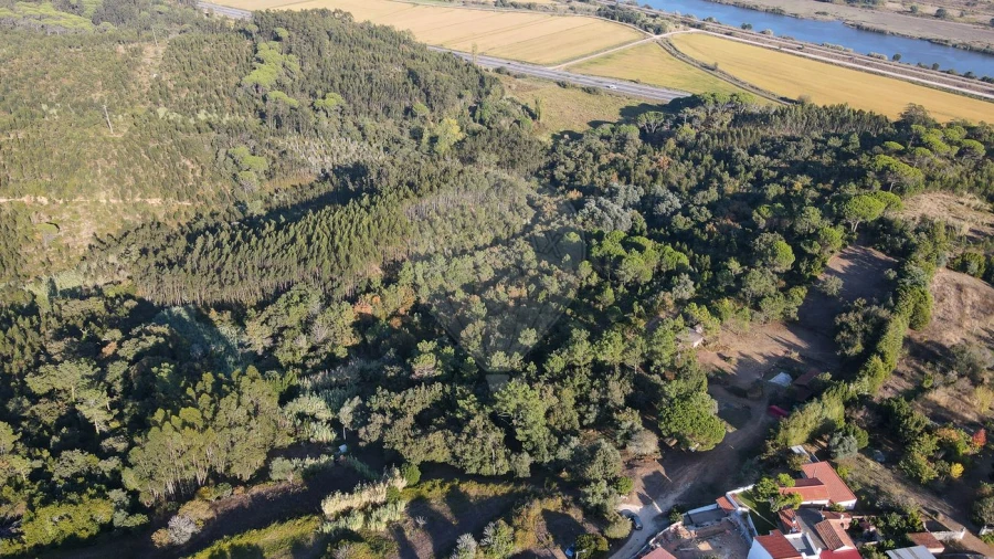 Terreno para Venda em Maiorca Foto 24