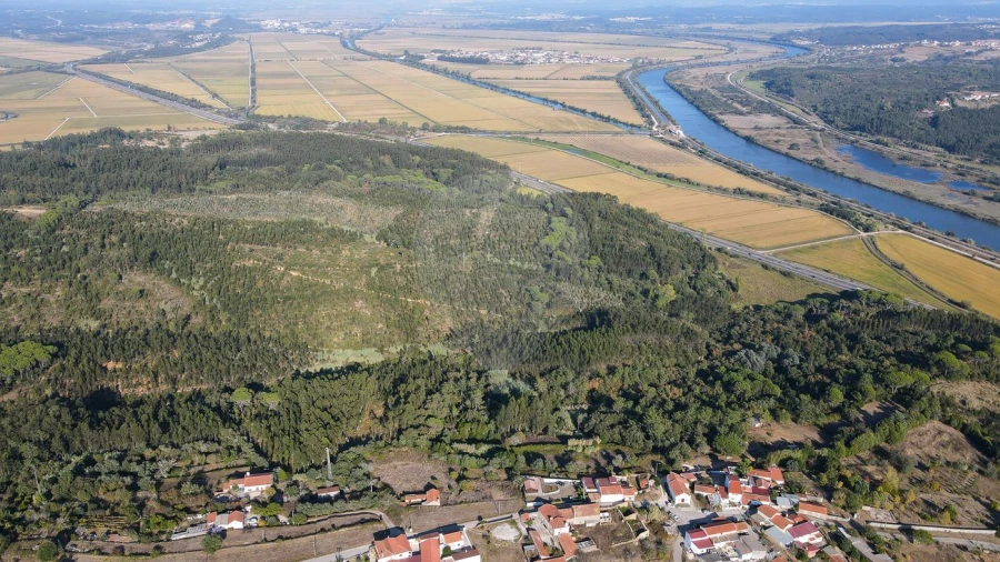 Terreno para Venda em Maiorca Foto 2
