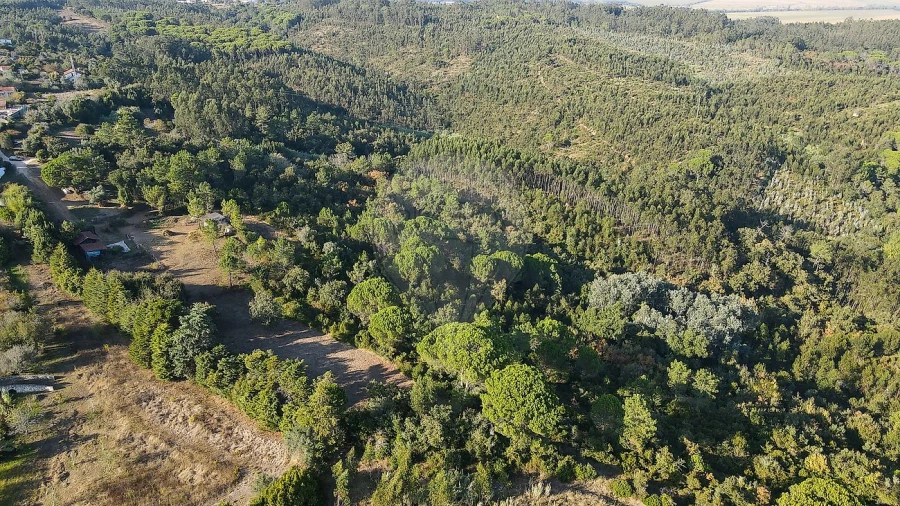 Terreno para Venda em Maiorca Foto 22